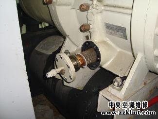 中央草莓视频在线观看污草莓视频污版APP更換油過濾芯